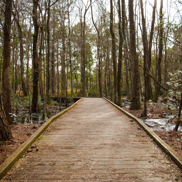 Walking Trails